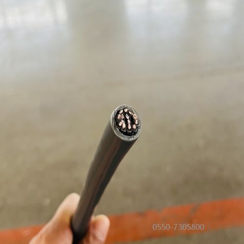 特种电缆.317.jpg 特种电缆.317.jpg