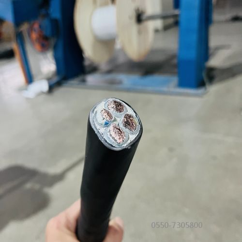 特种电缆.299.jpg 特种电缆.299.jpg