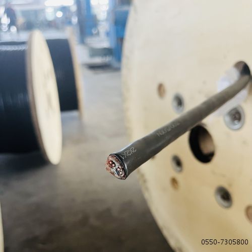 特种电缆...29.jpg 特种电缆...29.jpg