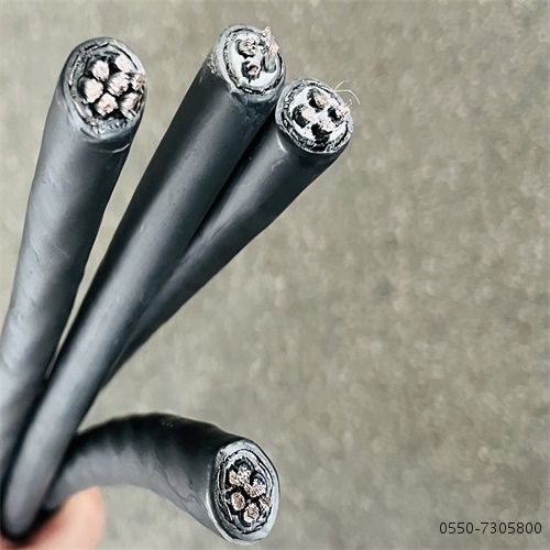 特种电缆厂家26.jpg 特种电缆厂家26.jpg