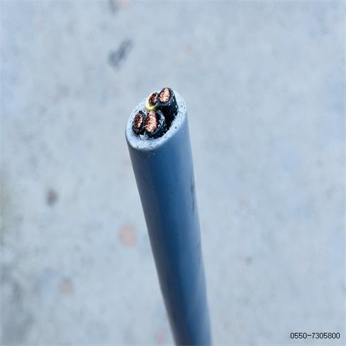 特种电缆厂家237.jpg 特种电缆厂家237.jpg