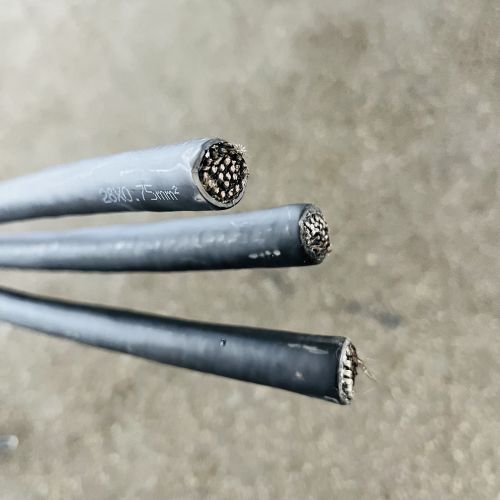 IMG_0463.jpg IMG_0463.jpg