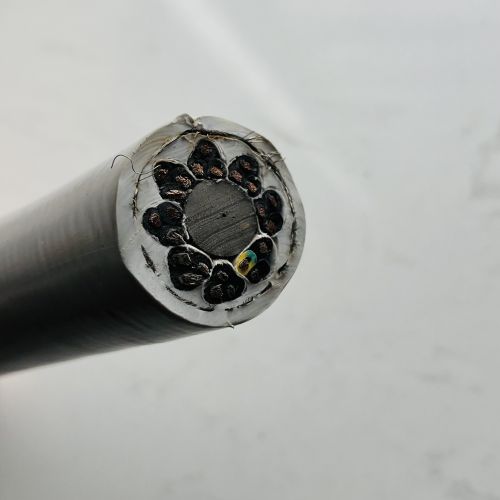 IMG_3112.jpg IMG_3112.jpg