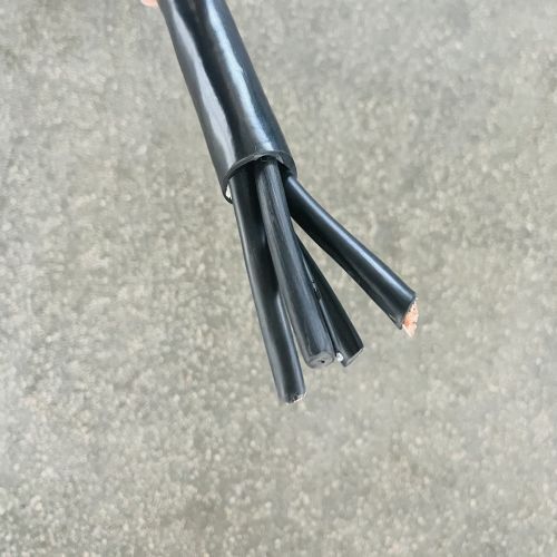 IMG_5397.jpg IMG_5397.jpg