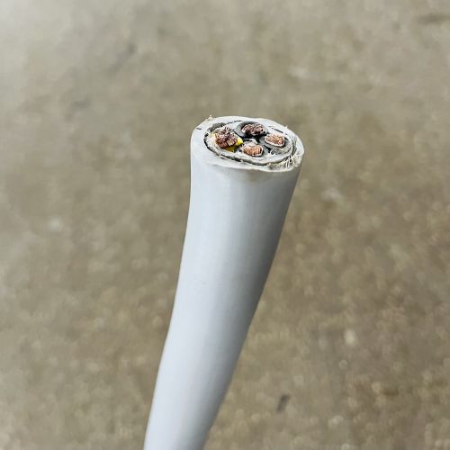 IMG_4350.JPG IMG_4350.JPG