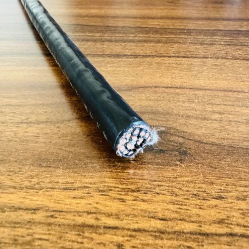 IMG_1931.jpg IMG_1931.jpg