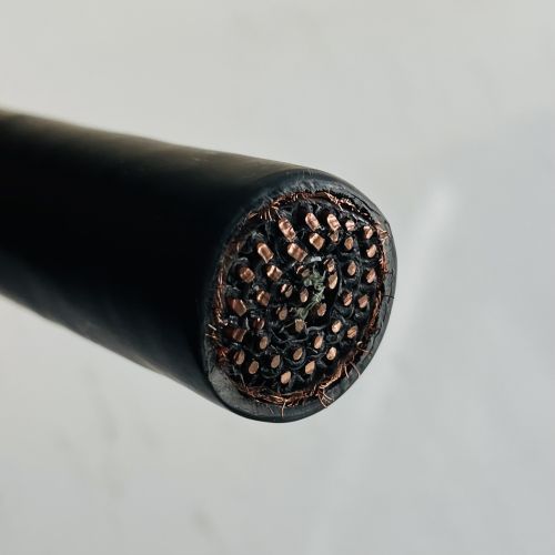 IMG_3190.jpg IMG_3190.jpg