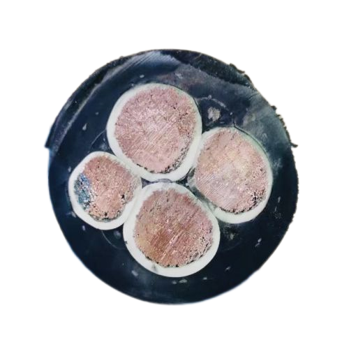 IMG_0127.png IMG_0127.png