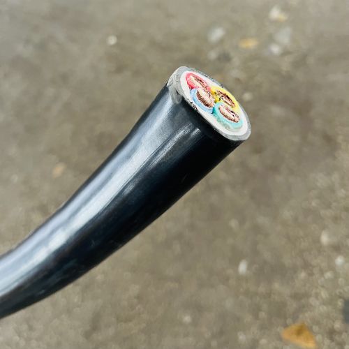 IMG_3873.jpg IMG_3873.jpg