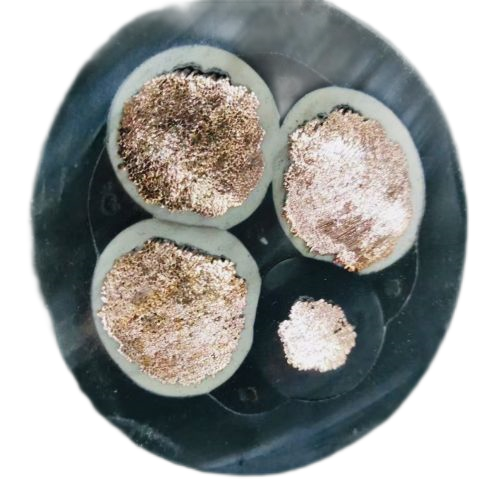 IMG_1175 (2).png IMG_1175 (2).png