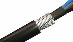 茄子产精国品免费入口