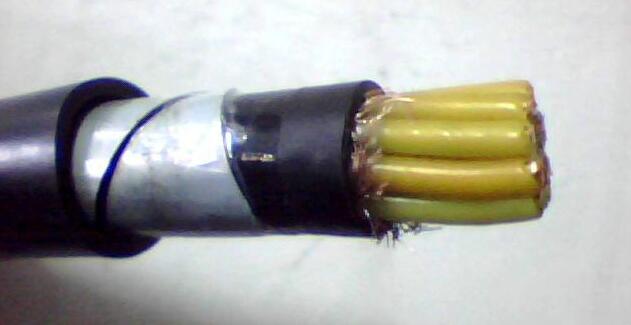 茄子产精国品免费入口