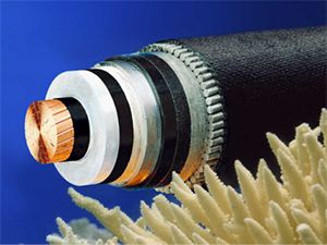 茄子产精国品免费入口