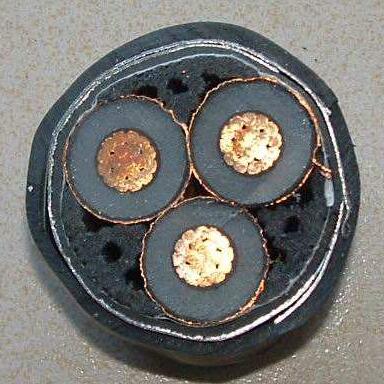 茄子产精国品免费入口