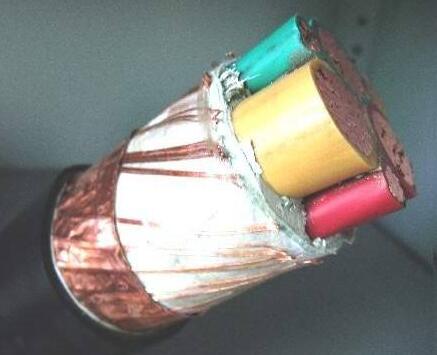 茄子产精国品免费入口