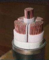 茄子产精国品免费入口