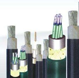 茄子产精国品免费入口