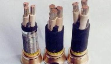 茄子产精国品免费入口