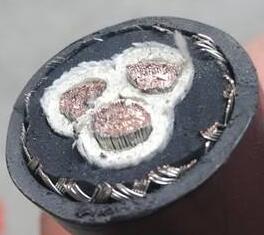 茄子产精国品免费入口