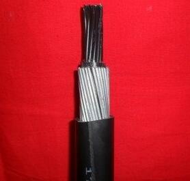 茄子产精国品免费入口