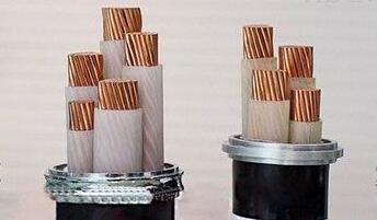 茄子产精国品免费入口
