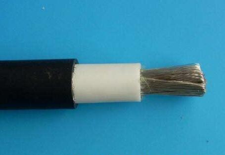 茄子产精国品免费入口