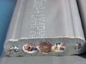 茄子产精国品免费入口