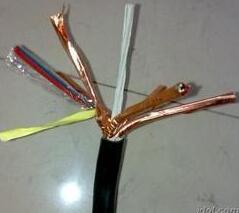 茄子产精国品免费入口