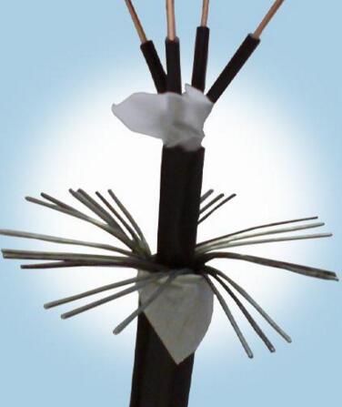 茄子产精国品免费入口