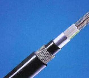 茄子产精国品免费入口