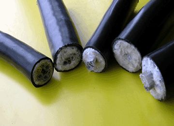 茄子产精国品免费入口