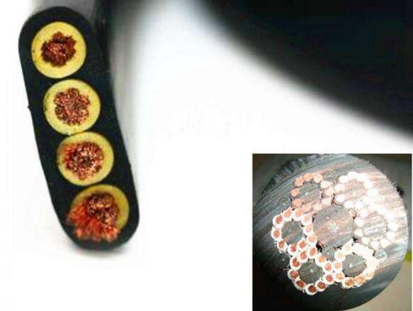 茄子产精国品免费入口