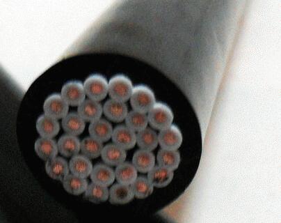茄子产精国品免费入口