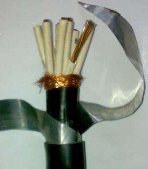 茄子产精国品免费入口