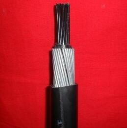 茄子产精国品免费入口