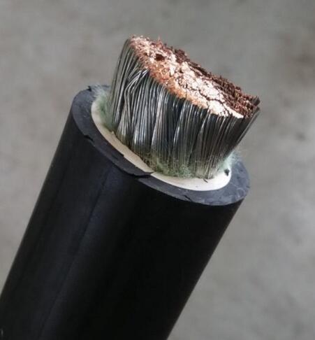 茄子产精国品免费入口