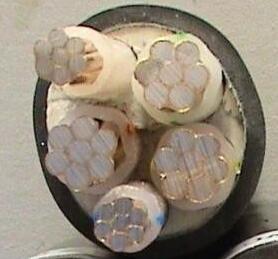 茄子产精国品免费入口