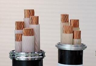 茄子产精国品免费入口