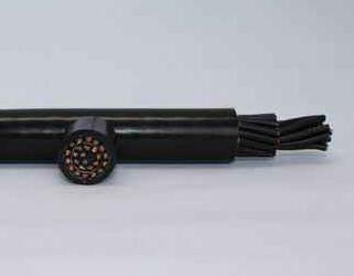 茄子产精国品免费入口