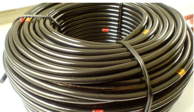 茄子产精国品免费入口