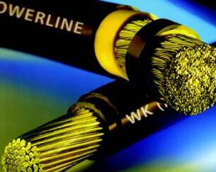 茄子产精国品免费入口