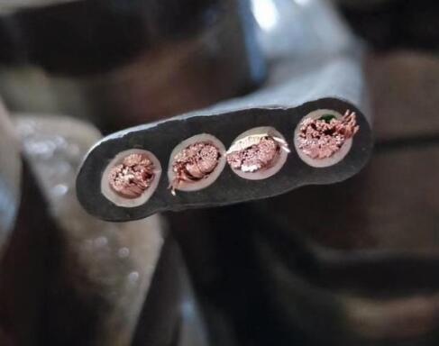 茄子产精国品免费入口
