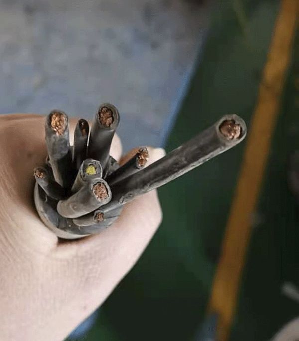 茄子产精国品免费入口