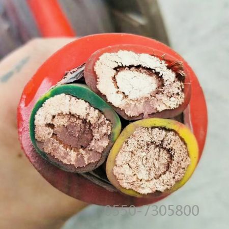 茄子产精国品免费入口