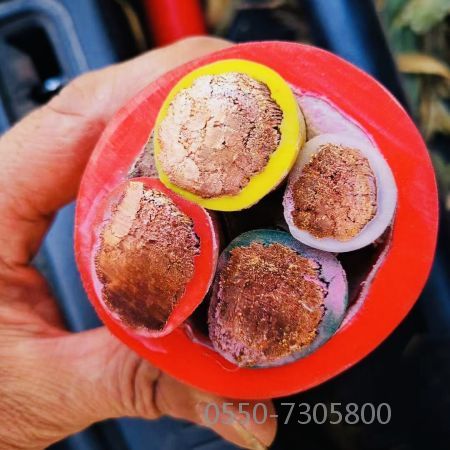 茄子产精国品免费入口