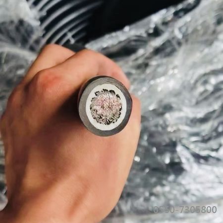 茄子产精国品免费入口