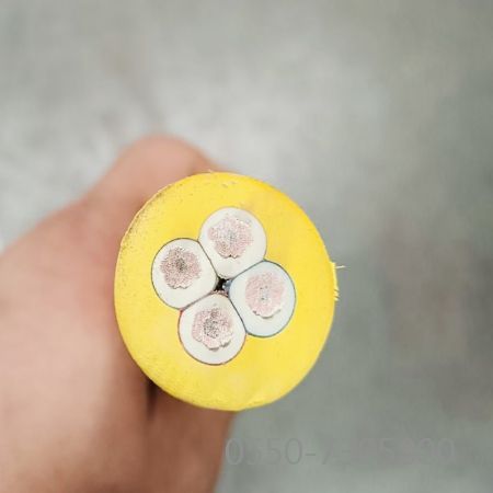 茄子产精国品免费入口