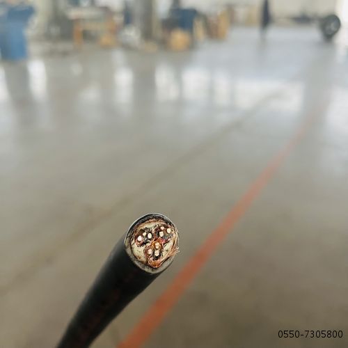 茄子产精国品免费入口