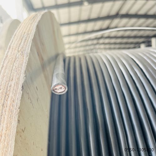 茄子产精国品免费入口