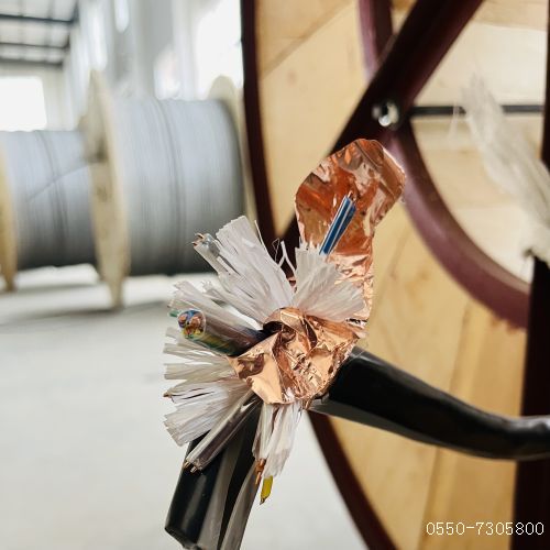 茄子产精国品免费入口